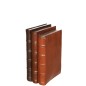 Livres en résine marron 19.5x12.5x27.5 cm Livres en résine marron 19.5x12.5x27.5 cm