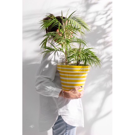 Palmera en maceta de tela verde 60x31x114 cm