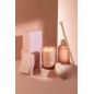 Candela profumata «Rosa sognante» 52h bianca 10.5x10.5x14 cm Candela profumata «Rosa sognante» 52h bianca 10.5x10.5x14 cm