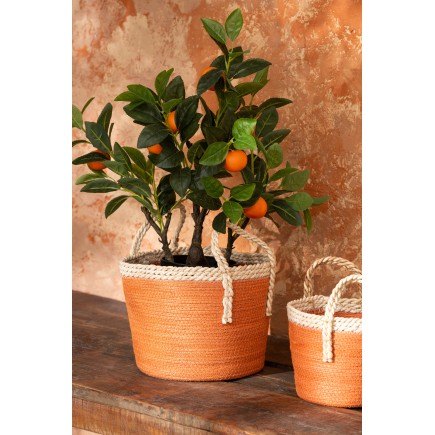 Arancio in vaso di plastica verde 45x32x60 cm