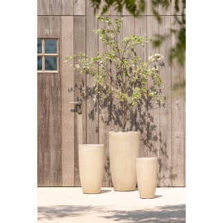 Lote de 3 macetas altas de arcilla beige