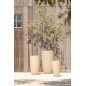 Lote de 3 macetas altas de arcilla beige Lote de 3 macetas altas de arcilla beige