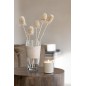 Vaso con linea in vetro beige 19x19x35 cm Vaso con linea in vetro beige 19x19x35 cm