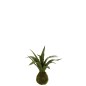 Pianta di Sansevieria sintetica verde 32x30x35 cm Pianta di Sansevieria sintetica verde 32x30x35 cm