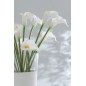 Bouquet de 8 calla lily artificiel en plastique blanc 20x11x37 cm Bouquet de 8 calla lily artificiel en plastique blanc 20x11x37 cm