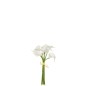 Bouquet de 8 calla lily artificiel en plastique blanc 20x11x37 cm Bouquet de 8 calla lily artificiel en plastique blanc 20x11x37 cm