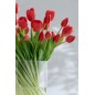 Bouquet di 7 tulipani artificiali in materiale sintetico rosa 13x9x32 cm
Bouquet di 7 tulipani artificiali in materiale sintetico rosa 13x9x32 cm