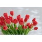 Bouquet di 7 tulipani artificiali in materiale sintetico rosa 13x9x32 cm
Bouquet di 7 tulipani artificiali in materiale sintetico rosa 13x9x32 cm