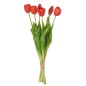 Bouquet di 7 tulipani artificiali in materiale sintetico rosa 17x10x46 cm
Bouquet di 7 tulipani artificiali in materiale sintetico rosa 17x10x46 cm