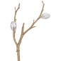 Ramo con pietre in plastica color crema 3x9x49 cm
Ramo con pietre in plastica color crema 3x9x49 cm