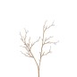 Ramo con pietre in plastica color crema 3x9x49 cm
Ramo con pietre in plastica color crema 3x9x49 cm