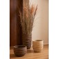 Erba di pampa 13 teste in vaso di plastica verde 80x60x180 cm
Erba di pampa 13 teste in vaso di plastica verde 80x60x180 cm