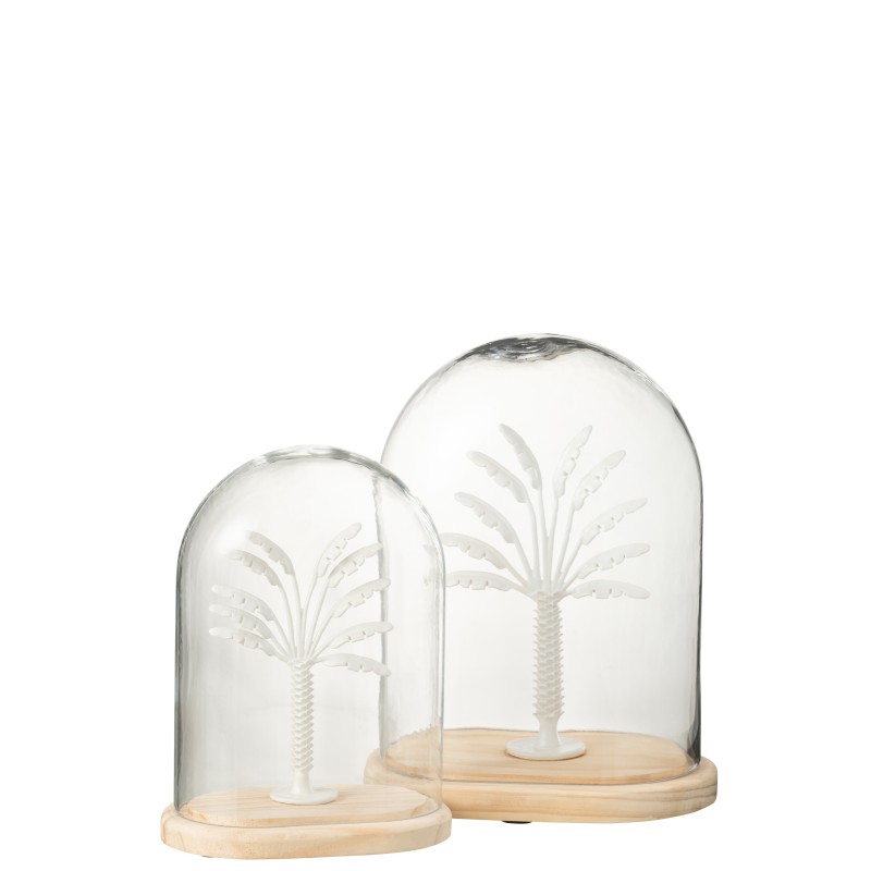 Palmier sous cloche en verre transparent 22x16x26 Palmier sous cloche en verre transparent 22x16x26