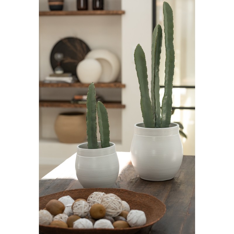 Cactus artificiale a 3 rami in vaso di plastica verde 14x14x47 cm
Cactus artificiale a 3 rami in vaso di plastica verde 14x14x47 cm