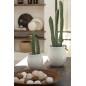 Cactus artificiale a 3 rami in vaso di plastica verde 14x14x47 cm
Cactus artificiale a 3 rami in vaso di plastica verde 14x14x47 cm