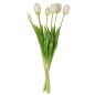 Bouquet di 7 tulipani artificiali in materiale sintetico bianco 17x10x46 cm
Bouquet di 7 tulipani artificiali in materiale sintetico bianco 17x10x46 cm