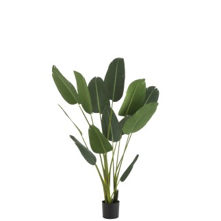 Strelitzia artificiel en plastique vert H189 cm