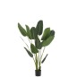 Strelitzia artificiel en plastique vert H189 cm Strelitzia artificiel en plastique vert H189 cm