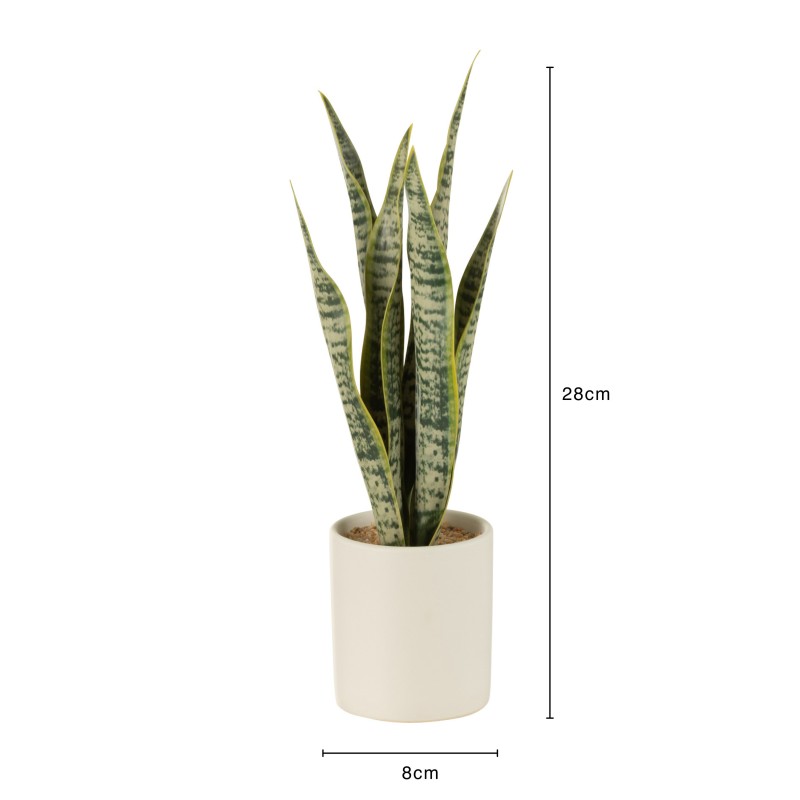 Vaso di sansevieria artificiale in plastica verde 8x8x28 cm
Vaso di sansevieria artificiale in plastica verde 8x8x28 cm