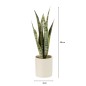 Vaso di sansevieria artificiale in plastica verde 8x8x28 cm
Vaso di sansevieria artificiale in plastica verde 8x8x28 cm
