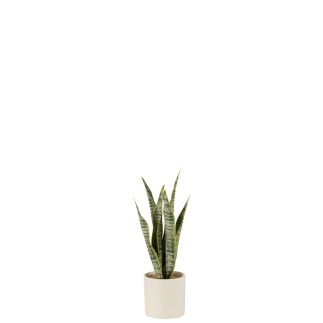 Vaso di sansevieria artificiale in plastica verde 8x8x28 cm