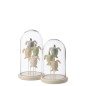 Campana decorativa con tortuga de cristal y base blanca 17,5 x 17,5 x 26 cm Campana decorativa con tortuga de cristal y base blanca 17,5 x 17,5 x 26 cm