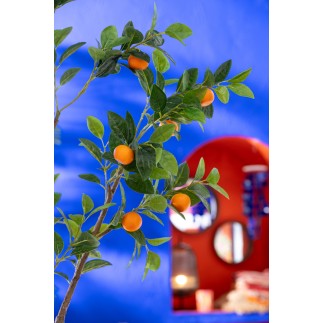 Arancio in vaso di plastica verde 60x48x130 cm