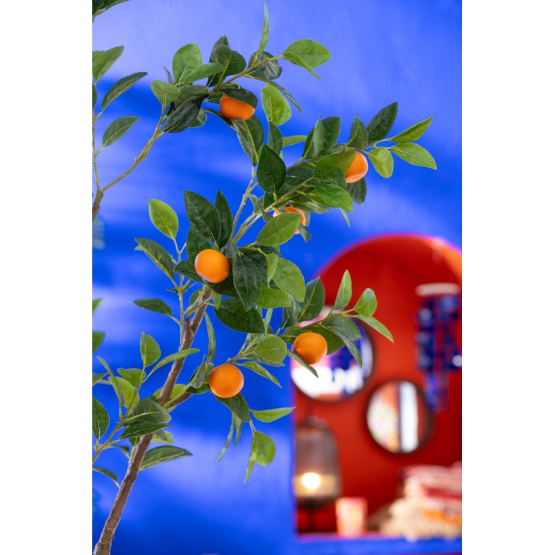 Oranger en pot en plastique vert 60x48x130 cm Oranger en pot en plastique vert 60x48x130 cm