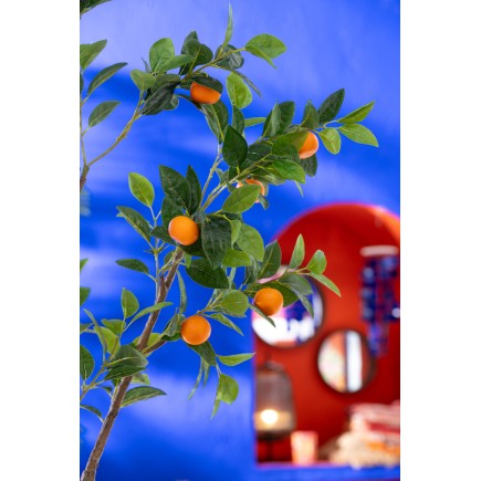Arancio in vaso di plastica verde 60x48x130 cm