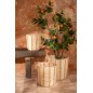 Oranger en pot en plastique vert 60x48x130 cm Oranger en pot en plastique vert 60x48x130 cm