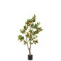 Oranger en pot en plastique vert 60x48x130 cm Oranger en pot en plastique vert 60x48x130 cm