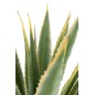 Agave artificial en maceta de poliéster verde 100 x 100 x 135 cm Agave artificial en maceta de poliéster verde 100 x 100 x 135 cm