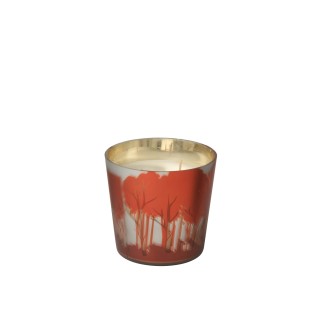Vela perfumada com aroma a madeira de uva em parafina 50H