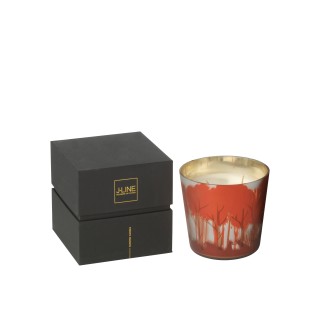 Vela perfumada de parafina Grapewood 50H