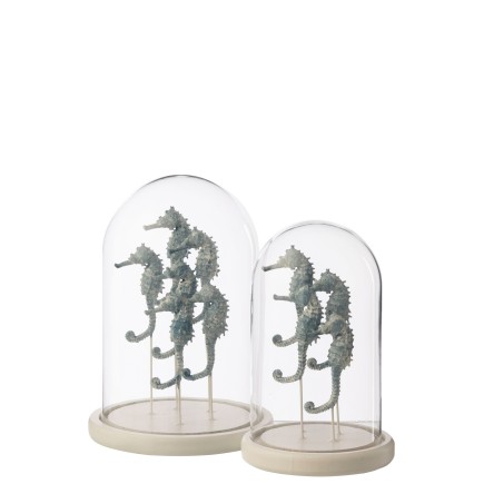 Cloche décorative avec hippocampe en verre socle blanc 17.5x17.5x26 cm
