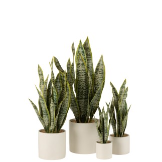 Vaso di sansevieria artificiale in plastica verde 16x16x59 cm