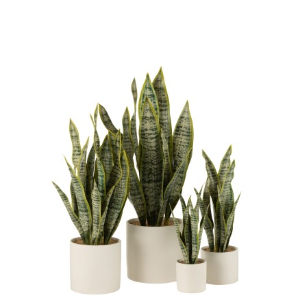 Vaso di sansevieria artificiale in plastica verde 16x16x59 cm