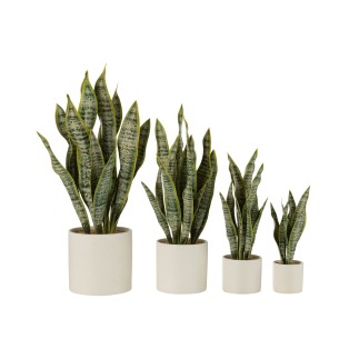 Vaso di sansevieria artificiale in plastica verde 16x16x59 cm