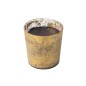 Candela profumata 140h in vetro dorato 21x21x22 cm Candela profumata 140h in vetro dorato 21x21x22 cm