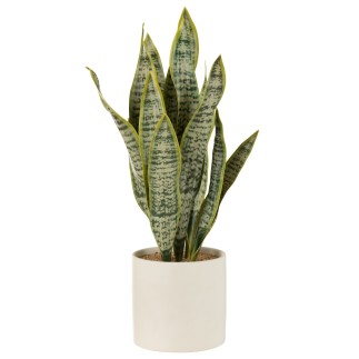 Vaso di sansevieria artificiale in plastica verde 16x16x59 cm