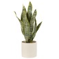 Vaso di sansevieria artificiale in plastica verde 16x16x59 cm
Vaso di sansevieria artificiale in plastica verde 16x16x59 cm