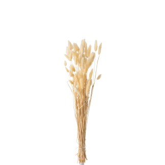 Bouquet di fiori secchi in legno naturale 10x4x75 cm