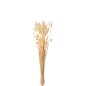 Bouquet di fiori secchi in legno naturale 10x4x75 cm Bouquet di fiori secchi in legno naturale 10x4x75 cm