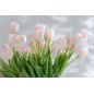 Ramo de 7 tulipanes artificiales de color rosa sintético de 17x10x46 cm Ramo de 7 tulipanes artificiales de color rosa sintético de 17x10x46 cm