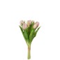 Bouquet di 7 tulipani artificiali in materiale sintetico rosa 13x9x32 cm
Bouquet di 7 tulipani artificiali in materiale sintetico rosa 13x9x32 cm