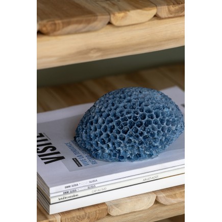 Petit corail en polyrésine bleu clair 16x13x9 cm