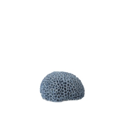 Petit corail en polyrésine bleu clair 16x13x9 cm
