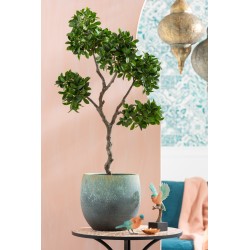 Arbre ficus en pot en textile vert 45x45x128 cm
