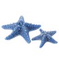 Bougie étoile de mer 3H bleu 20.5x20.5x6.5 cm Bougie étoile de mer 3H bleu 20.5x20.5x6.5 cm