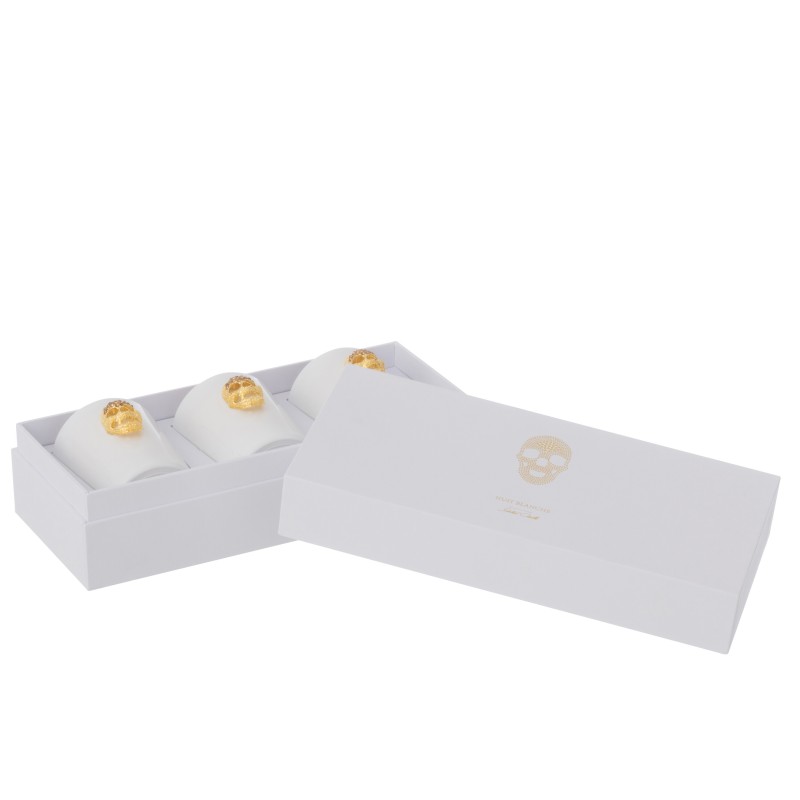 Caja de 3 velas aromáticas de parafina blanca 21.5*9.5*7 cm